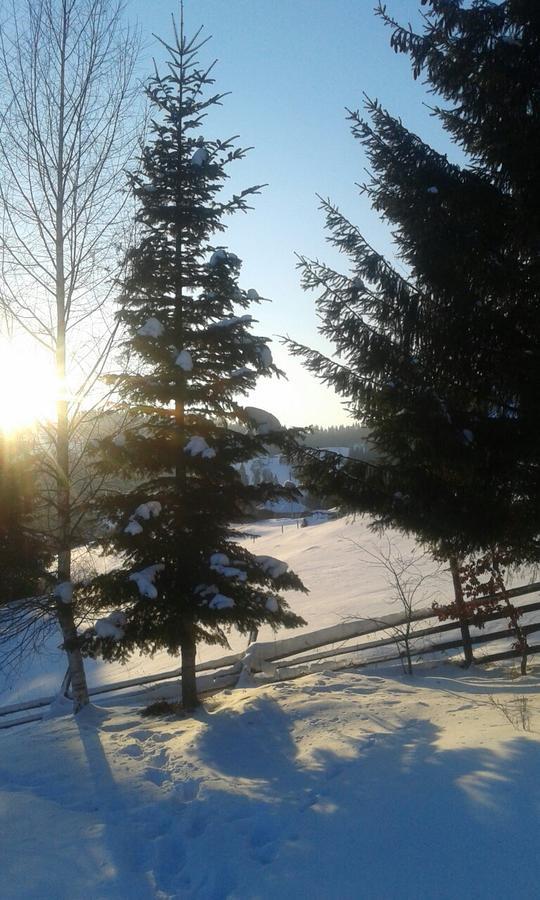 Cottage Palitra Yablunytsia Buitenkant foto