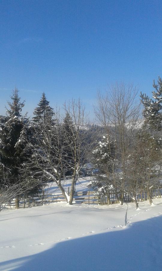 Cottage Palitra Yablunytsia Buitenkant foto